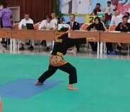 O2SN - Pencak silat putri